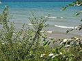 Western Michigan [2010] 574